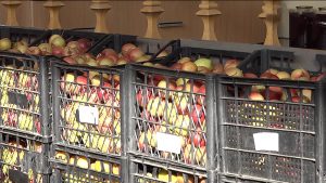 Фидараты бинонтæ æфсæддонтæн арвыстой, сæ цæхæрадоны кæй æрзайын кодтой, уыцы фæткъуыты тыллæг