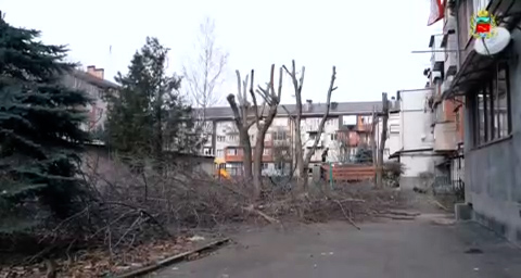 Во Владикавказе начался сезон обрезки деревьев