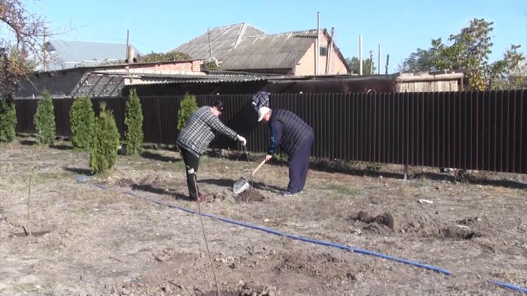 Общественники высадили сад у дома-музея Блашка Гуржибекова