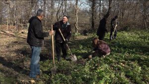 Продолжается благоустройство лесопарковой зоны «Сапицкая будка»