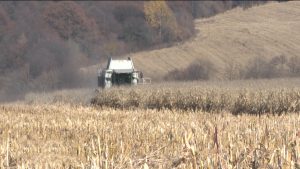 В Пригородном районе завершается уборка урожая