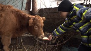 «Зæрдæйæ зæрдæмæ». Æппæтуæрæсеон акци Цæгат Ирыстоны цæуы 10 азы