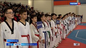 Дзæуджыхъæуы фесты регионты хсæн ерыстæ тхеквондойæ «Митын стай» æмæ хуызджын рæтты фестиваль «Митын стай kids»