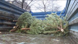 Знонæй фæстæмæ компани «ЭРА» райдыдта, кæй акалдтой, уыцы заз бæлæстæ æмбырд кæнын