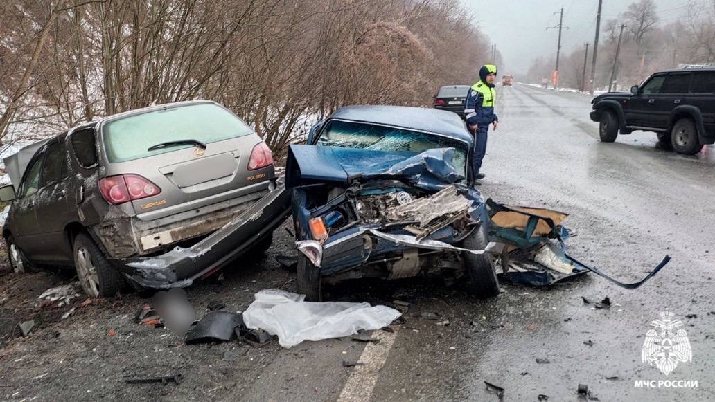 Сотрудники МЧС оказали помощь пострадавшему в ДТП мужчине