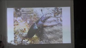 Хуызистыты уникалон равдыст «Мир насекомых Макро» арæзт æрцыд Мæздæджы скъола-интернаты