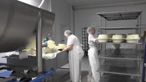 Для учащихся 8-й моздокской школы провели профориентационную экскурсию на молочный завод