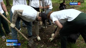 Аллея ветеранов появилась в лесопарковой зоне «Сапицкая будка»