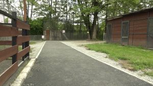 Дзæуджыхъæуы сырддоны баивтой асфальтæй уæлцъар