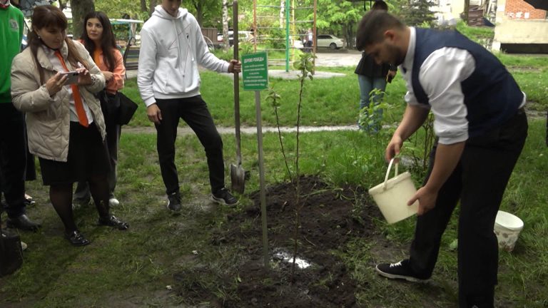 Во Владикавказе проходит акция «Дерево Победы»