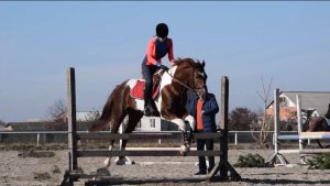 Мæскуыйы уыдысты, Уæрæсейы Кубок рамбулыны ерыстæ, бæхыл бадыны 3 хуызæй