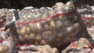 Ног картофы æртæ тонны онг Адæмон фронтæн рахай кодта Æрыдоны районы фермер