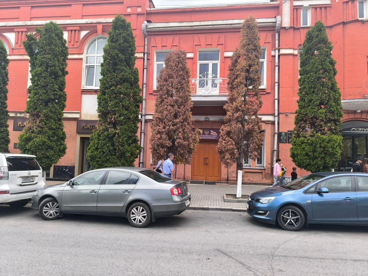 Ботаники СОГУ бьют тревогу: туи Владикавказа под угрозой гибели Ботаники СОГУ бьют тревогу: туи Владикавказа под угрозой гибели