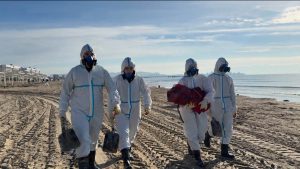 В СОГУ вместе с московскими коллегами из научно-исследовательского института имени Склифосовского ведутся уникальные исследования клеточной терапии