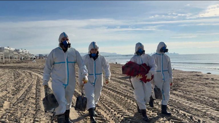 В СОГУ вместе с московскими коллегами из научно-исследовательского института имени Склифосовского ведутся уникальные исследования клеточной терапии