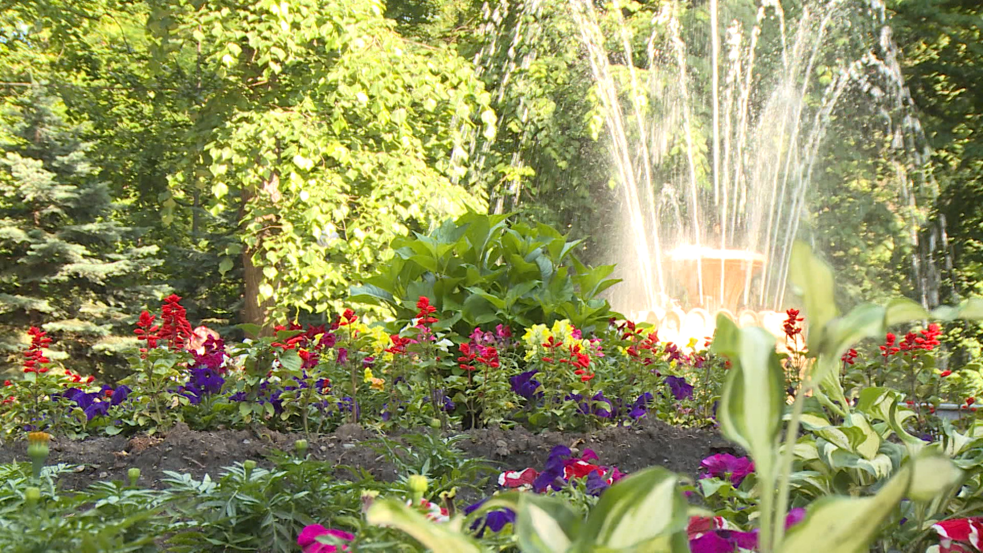 На озеленение Владикавказа направят 189,9 млн рублей