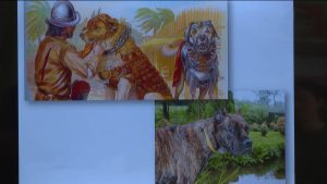 Цæгат Ирыстоны Гæздæнты Гайтойы номыл фæсивæдон библиотекæйы ацыд алайнаг æфсæддон куыйты хуыз æмæ бæхты темæимæ баст лекци