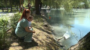 Дзæуджыхъæуы центрон парчы фæзынд автоматтæ мæргътæн хойрагимæ