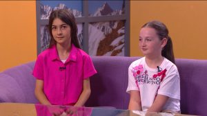 Аланий сæумæ