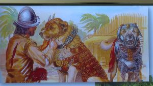 Лекция об аланских боевых собаках и лошадях прошла во Владикавказе