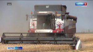 В Северной Осетии стартовал сбор урожая озимых