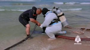 Водолазы из Северной Осетии участвуют в очистке Черноморского побережья