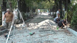 Дзæуджыхъæуы райдыдтой Таматы Владимиры уынджы аллея аив кæнын