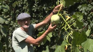 Социалон приюты цæрджытæ æмбырд кæнынц тыллæг