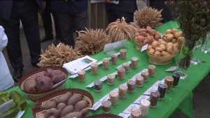 Уæрæсейы наукæты академийы Дзæуджыхъæуккаг наукон центры, Михайловскæйы арæзт æрцыд æртыккаг традицион æрвылазон равдыст «Быдыры Бон»