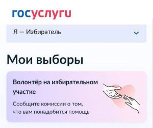 Северная Осетия в числе регионов, где на выборах в единый день голосования будет доступен сервис «Волонтеры на избирательном участке»
