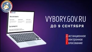 В Единый день голосования жители Северной Осетии впервые смогут воспользоваться форматом дистанционного электронного голосования