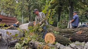 Во Владикавказе приступили к первому этапу благоустройства аллеи на улице Тамаева