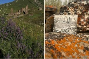 На курорте «Мамисон» пройдет первый арт-фестиваль