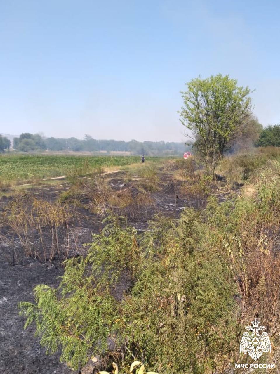 Пожарные МЧС России ликвидировали возгорание в Правобережном районе