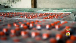 В Северной Осетии пресекли масштабную схему незаконной миграции и производства контрафактной продукции