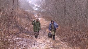 В республике открылся активный грибной сезон