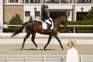 Конник Кристина Такоева завоевала две золотые медали на соревнованиях по выездке в Таганроге