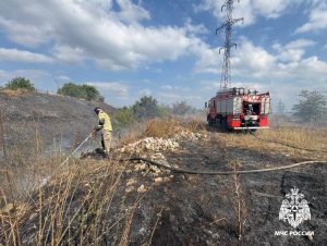 Горение сухостоя на площади более тысячи квадратных метров потушили в Ногире