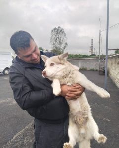 Хозяин нашел потерянного питомца благодаря материалу на местном телевидении