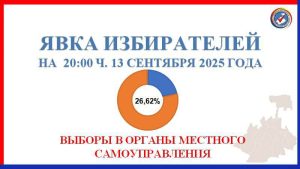 Явка на выборах на 20.00 составила 3985 человек