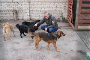 Ибрагим Гобеев: До 1 декабря бездомных собак на улицах республики быть не должно