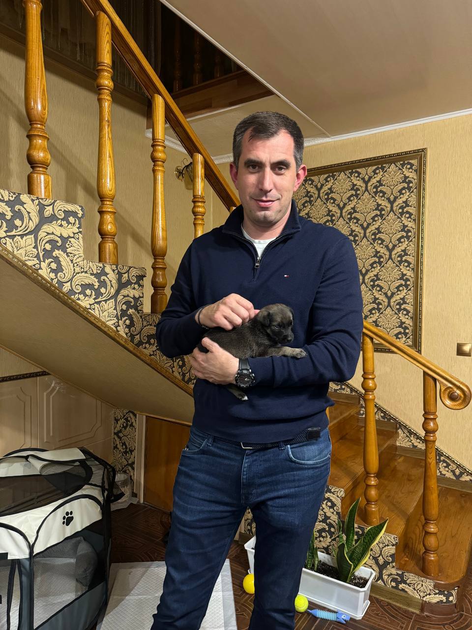 Министр культуры РСО-А Батраз Гудиев забрал щенка из приюта