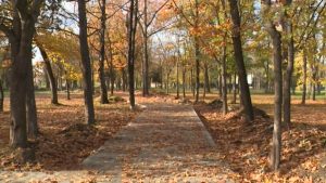 Близится к завершению благоустройство сквера имени Гагарина во Владикавказе