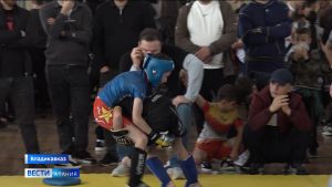 Открытый Кубок по спортивной борьбе панкратион прошёл в Северо-Кавказском строительном техникуме