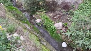 Народный фронт держит на контроле вопрос жителей Алагира о расчистке канала поблизости от квартала энергетиков