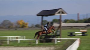 Северная Осетия приняла Чемпионат России по конному троеборью