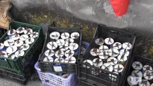 В Моздокском районе собрали очередной гуманитарный груз для жителей Донбасса и бойцов СВО