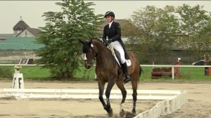 Чемпионат России по конному троеборью впервые проходит в Северной Осетии