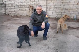 В Северной Осетии 115 собак из питомника обрели хозяев благодаря благотворительной акции «Возьми собаку из приюта»