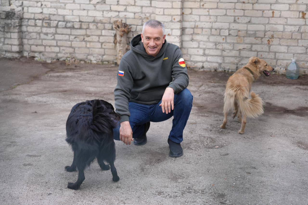 В Северной Осетии 115 собак из питомника обрели хозяев благодаря благотворительной акции «Возьми собаку из приюта»